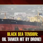 Mango News Portal copy.webp1