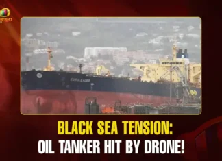 Mango News Portal copy.webp1