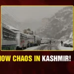 Snow Chaos in Kashmir! ❄️