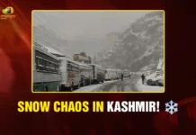 Snow Chaos in Kashmir! ❄️