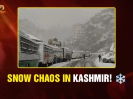 Snow Chaos in Kashmir! ❄️