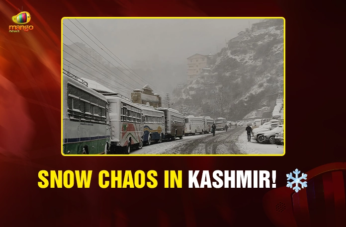 Snow Chaos in Kashmir! ❄️ Snow Chaos in Kashmir! ❄️