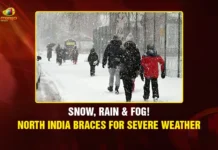 Snow, Rain & Fog! North India Braces for Severe Weather
