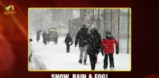 Snow, Rain & Fog! North India Braces for Severe Weather