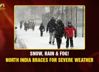 Snow, Rain & Fog! North India Braces for Severe Weather