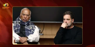 No Alliances — Congress on All 294 Seats!