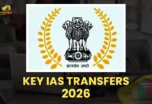 Mango-News-Portal-copy