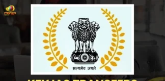 Mango-News-Portal-copy