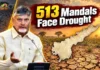 Andhra Pradesh Drought Alert: Naidu Sets October 1 Deadline for 513 Mandals