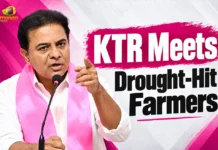 KTR Inspects Dried Crops, Meets Farmers in Nagarkurnool