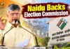 Chandrababu Naidu Backs EC, Calls for Respect for Constitutional Institutions