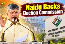 Chandrababu Naidu Backs EC, Calls for Respect for Constitutional Institutions
