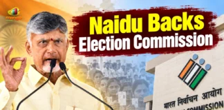 Chandrababu Naidu Backs EC, Calls for Respect for Constitutional Institutions