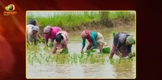 AP Cabinet’s Big Plans Bring Relief For Farmers
