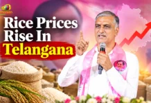 Harish Rao Seeks Action As Telangana Rice Prices Rise
